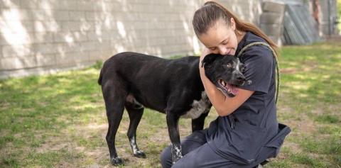 Woman kneeling in grass hugging dog