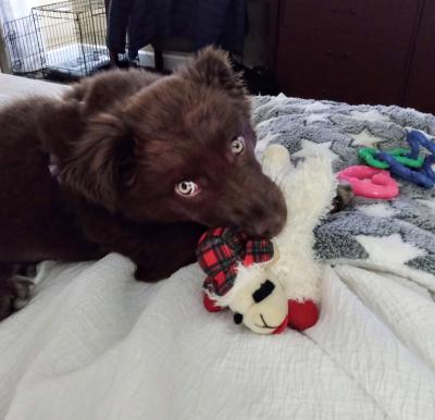 Yazhi with her favorite stuffed toy