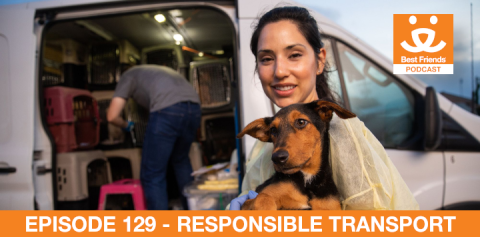 woman holding a dog in front of an animal welfare transport van