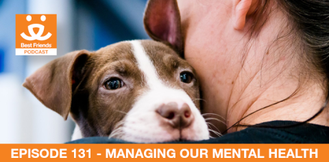 woman holding a brown and white puppy