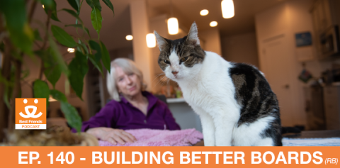 A cat on a table with a woman in the background