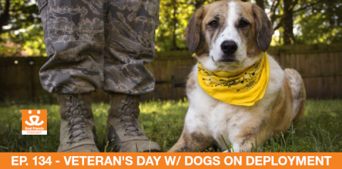 A dog owned by a soldier receiving help from Dogs on Deployment